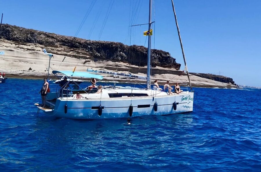 3h Whale Watching Private Tour Costa Adeje Lina7 Mizendoha - From whale watching to the swimming stop