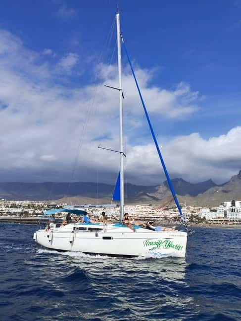 3h Whale watching Share Tour Costa Adeje Lina7 Mizendoha - Snacks, cold drinks, and the $65 price