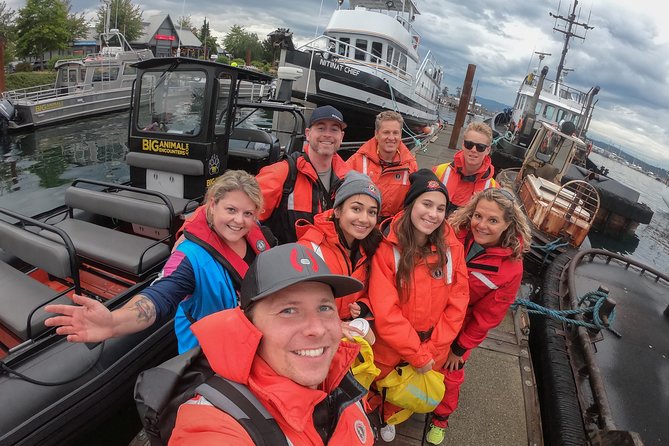4 Hour Morning Whale Watching Tour - Snacks and drinks keep the morning simple