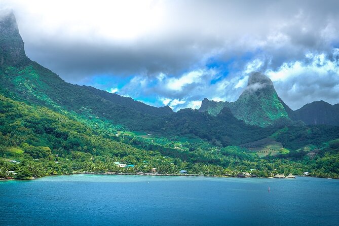 4 Hour Private Humpback Whales Encounter in Moorea - A private group changes the feel of the trip