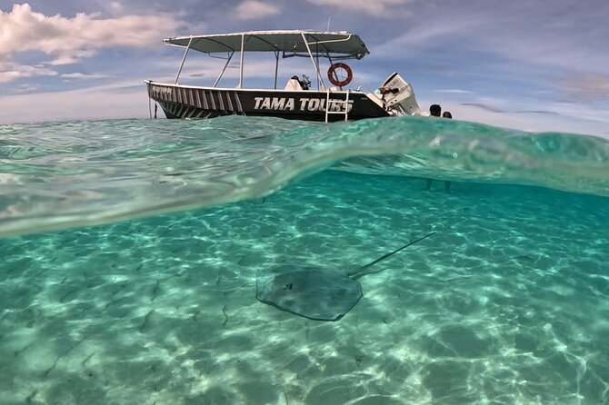 4 Hour Private Humpback Whales Encounter in Moorea - How the price works for your group