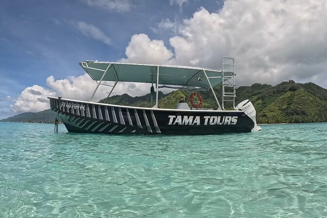 4 Hour Private Humpback Whales Encounter in Moorea - What the four-hour outing is like
