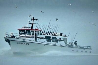 8hr Kenai Fjords Whale Watching Tour w/ 1hr Fishing 16 Passengers