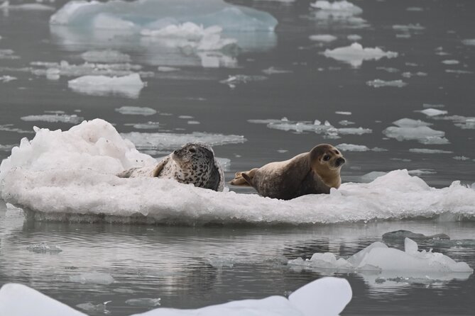 8hr Kenai Fjords Whale Watching Tour w/ 1hr Fishing 16 Passengers - Is $459 a fair price?