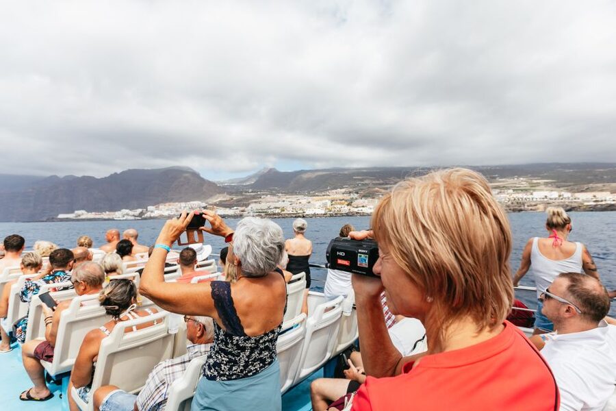 Adeje: Whale and Dolphin Watching Cruise with Lunch and Swim - Who should book this cruise?
