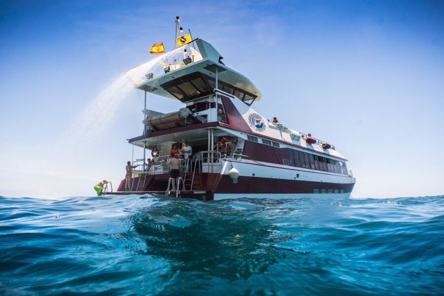 Adeje: Whale and Dolphin Watching Cruise with Lunch and Swim - The 16 underwater windows and the lower deck