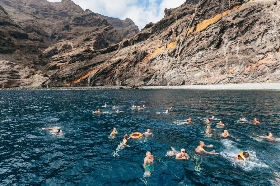 Adeje: Whale and Dolphin Watching Cruise with Lunch and Swim - Choosing between Diego Hernández Bay and Los Gigantes