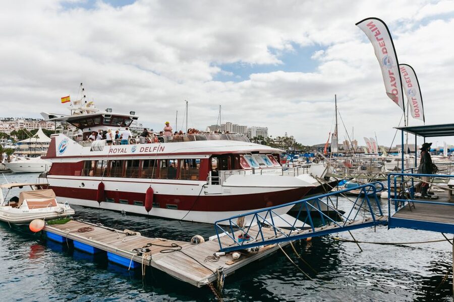 Adeje: Whale and Dolphin Watching Cruise with Lunch and Swim - Swimming from the boat and eating lunch