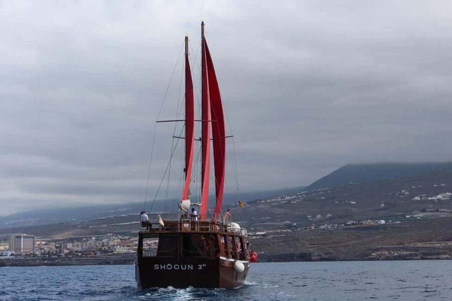 Adeje: Whale Watching, Lunch & Swim Stop at Los Gigantes - Is $64 good value?
