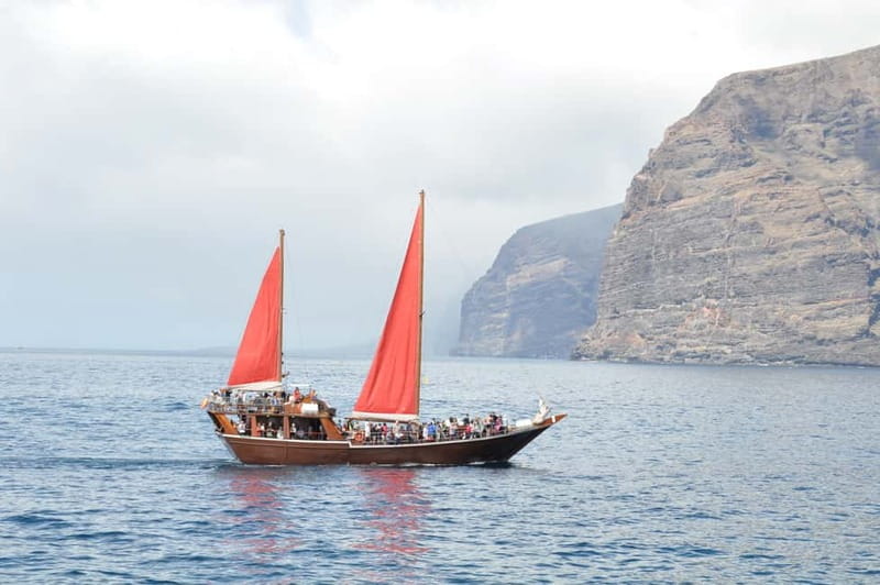 Adeje: Whale Watching, Lunch & Swim Stop at Los Gigantes - Who should book this experience?