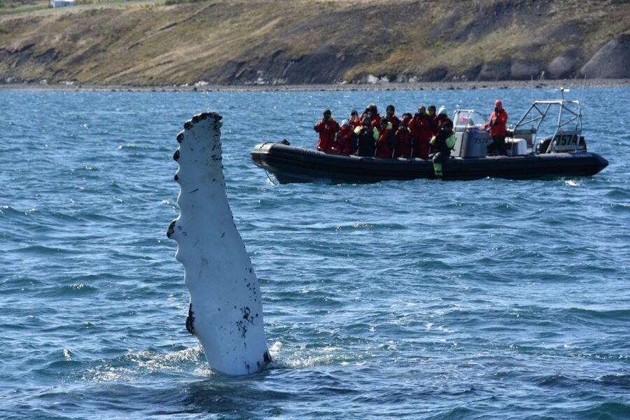 Akureyri: 2-Hour Whale Watching Express by RIB Speedboat - The mountain and waterfall views on the way back