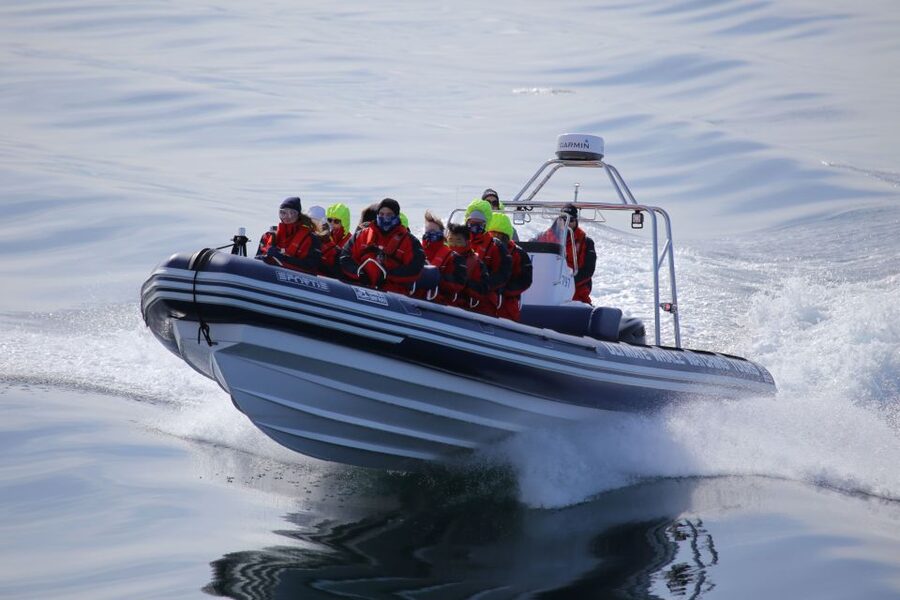 Akureyri: 2-Hour Whale Watching Express by RIB Speedboat - Guide quality and wildlife interpretation