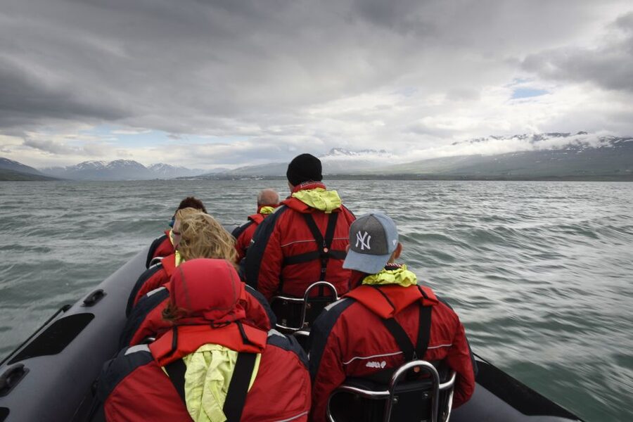 Akureyri: 2-Hour Whale Watching Express by RIB Speedboat - Is $200 a fair price?