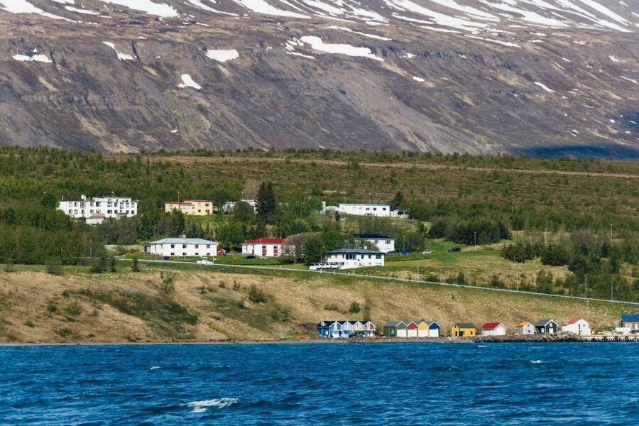 Akureyri: 3-Hour Classic Whale Watching Tour by Ship - Who should book this Akureyri cruise?