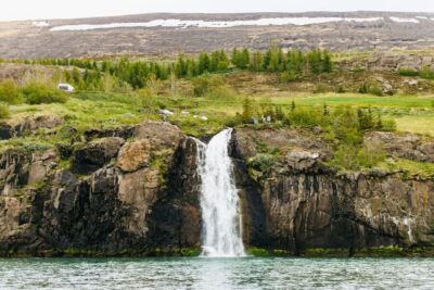 3-Hour Classic Whale Watching Tour by Ship