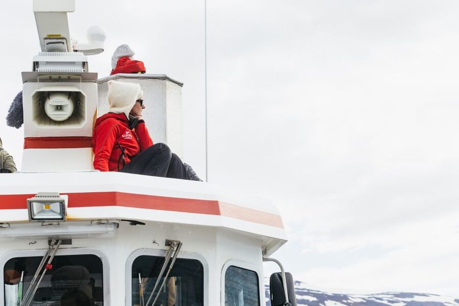 Akureyri: 3-Hour Classic Whale Watching Tour by Ship - Guides, captains, and the value of good spotting