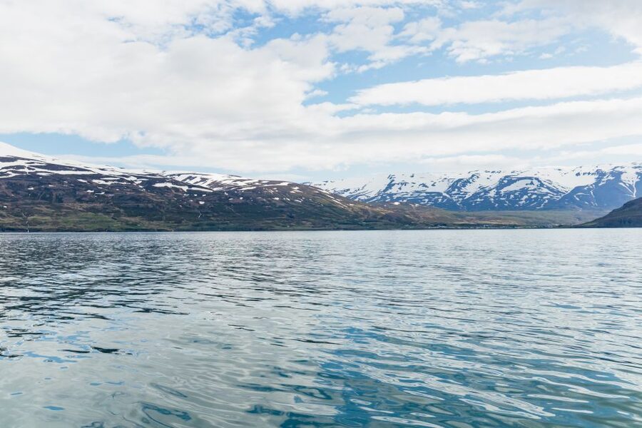 Akureyri: 3-Hour Classic Whale Watching Tour by Ship - Weather, motion, and comfort on the water