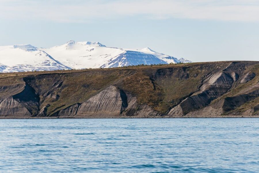 Akureyri: 3-Hour Classic Whale Watching Tour by Ship - What the $108 price buys you