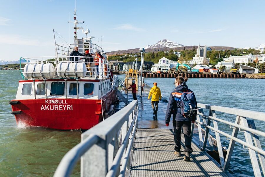 Akureyri: 3-Hour Classic Whale Watching Tour by Ship - Best seasons and the winter question