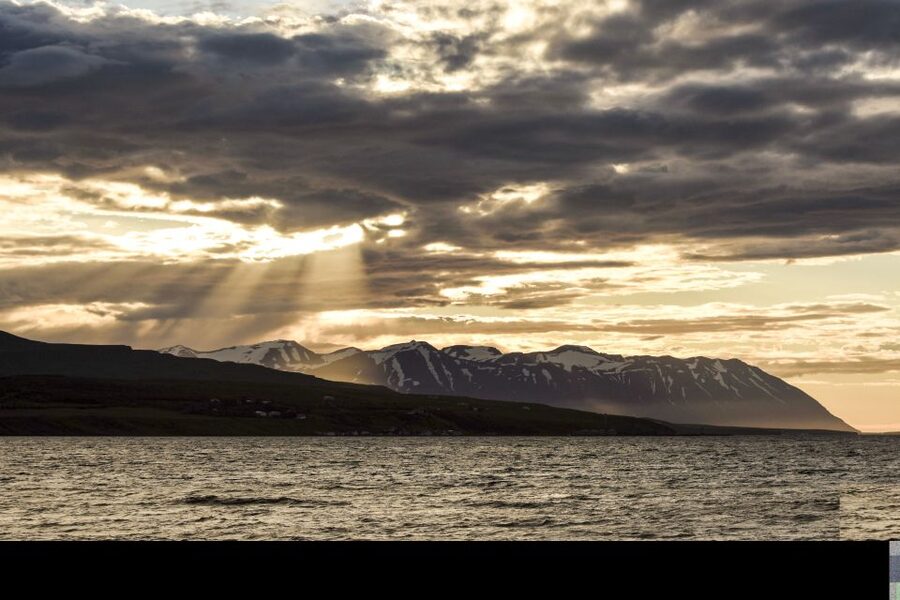 Akureyri: Whale Watching in the Midnight Sun - FAQ