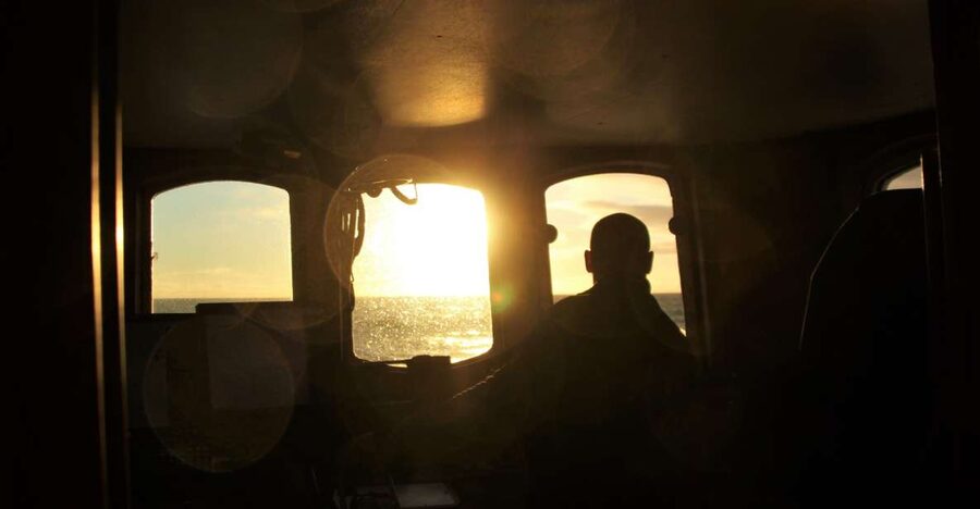 Akureyri: Whale Watching in the Midnight Sun - What the guide adds to the cruise