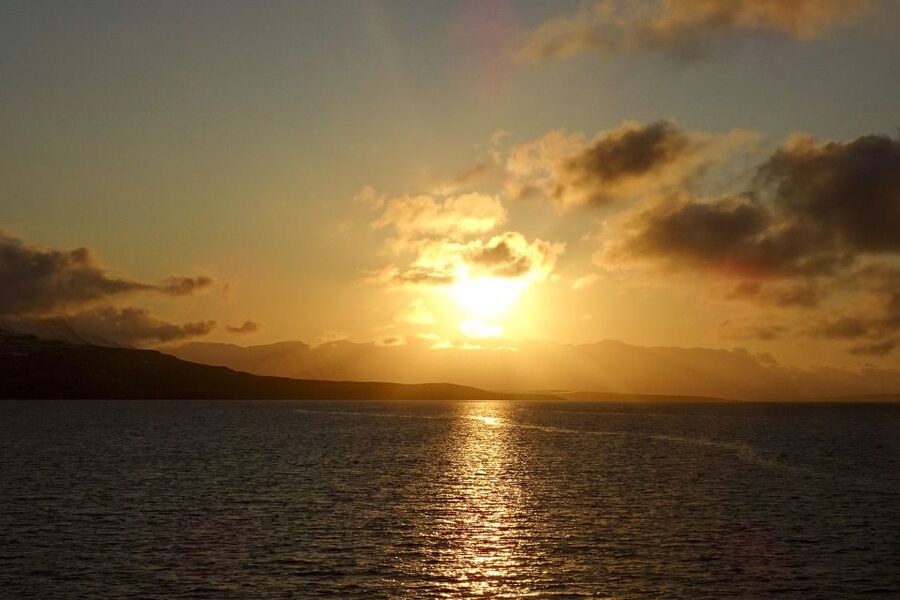 Akureyri: Whale Watching in the Midnight Sun - Booking details that matter