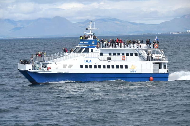 Akureyri: Whale Watching Shore Excursions - Minke whales, porpoises, dolphins, and seabirds