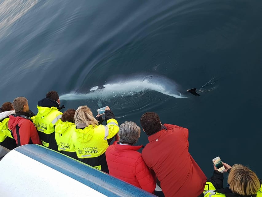 Akureyri: Whale Watching Tour & Forest Lagoon Entrance - Two sides of Eyjafjörður in one day