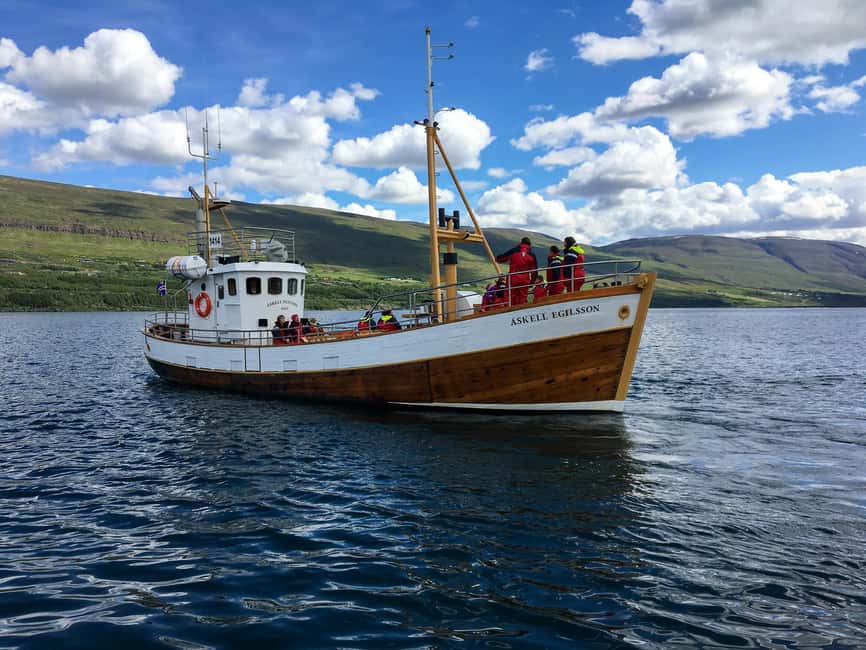 Akureyri: Whale Watching Tour with Transfer from Port - Key points to know before you book