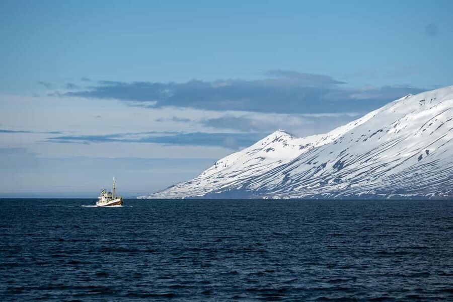 Akureyri: Whale Watching Tour with Transfer from Port - What happens during the 2.5-hour boat trip