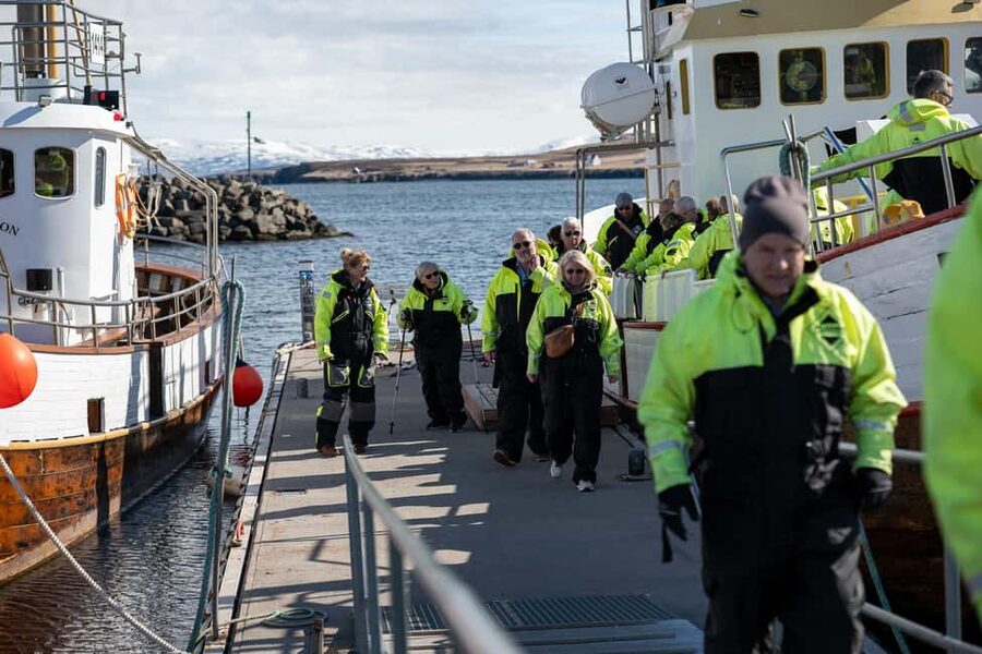 Akureyri: Whale Watching Tour with Transfer from Port - The species you may see in Eyjafjörður