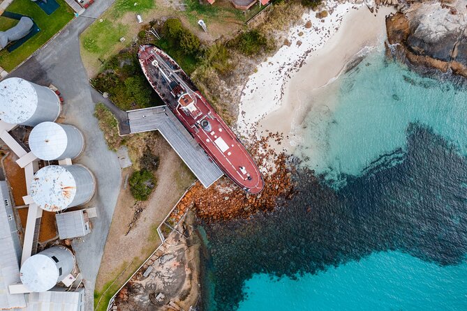 Albany's Whale Story - Albany’s Historic Whaling Station at Discovery Bay