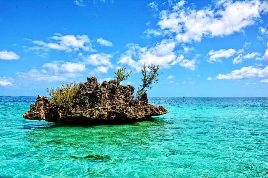 All In One- Dolphins, Whales, Snorkeling & Lunch onboard - Crystal Rock is the photogenic stop