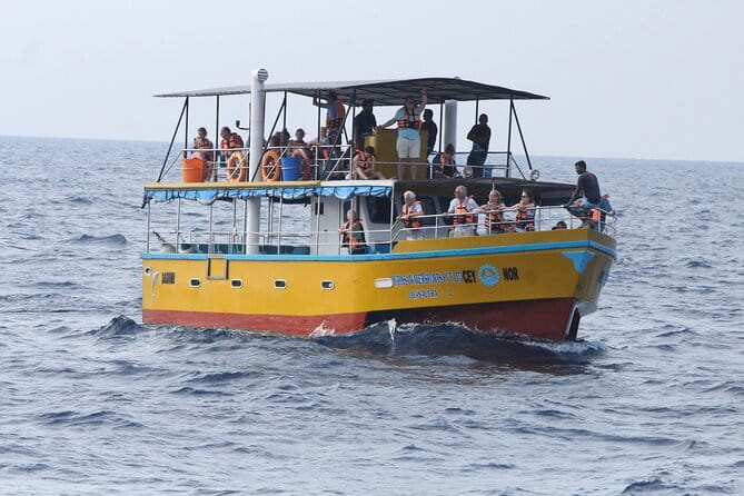 All Inclusive Mirissa Whale and Dolphin Watching Boat Ride - Dawn on the Indian Ocean
