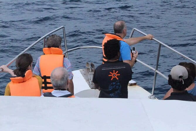 All Inclusive Mirissa Whale and Dolphin Watching Boat Ride - Searching for whales and dolphins