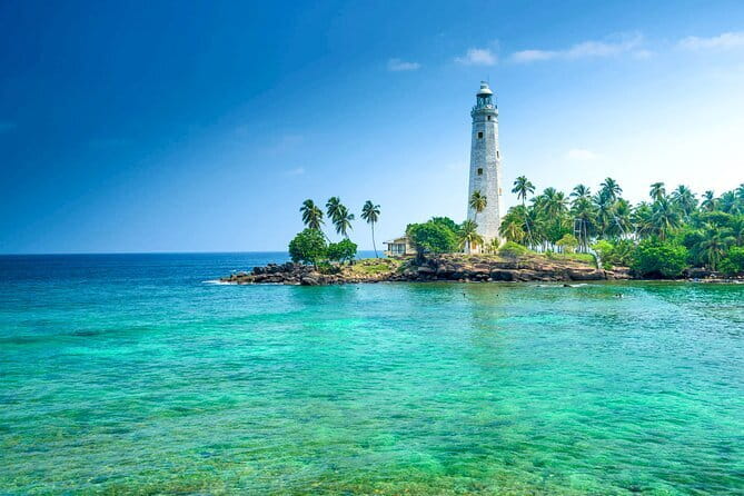 All Inclusive Mirissa Whale and Dolphin Watching Boat Ride - A boat with room to watch