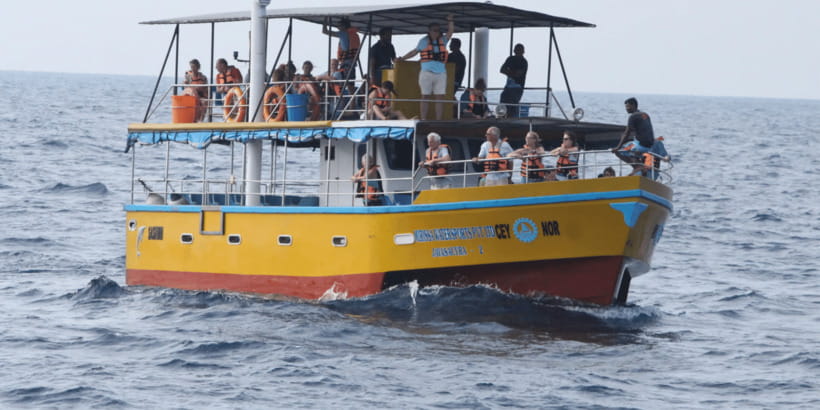 All Inclusive Mirissa Whale & Dolphin Watching + Snorkeling - What the boat ride means for comfort