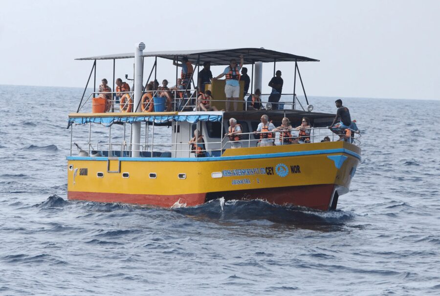 All Inclusive Mirissa Whale & Dolphin Watching + Snorkeling - Should you book the Mirissa whale and turtle trip?