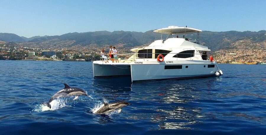 All Inclusive Whale and Dolphin Watching Luxury Tour - Setting out from Funchal Marina with a glass of fizz