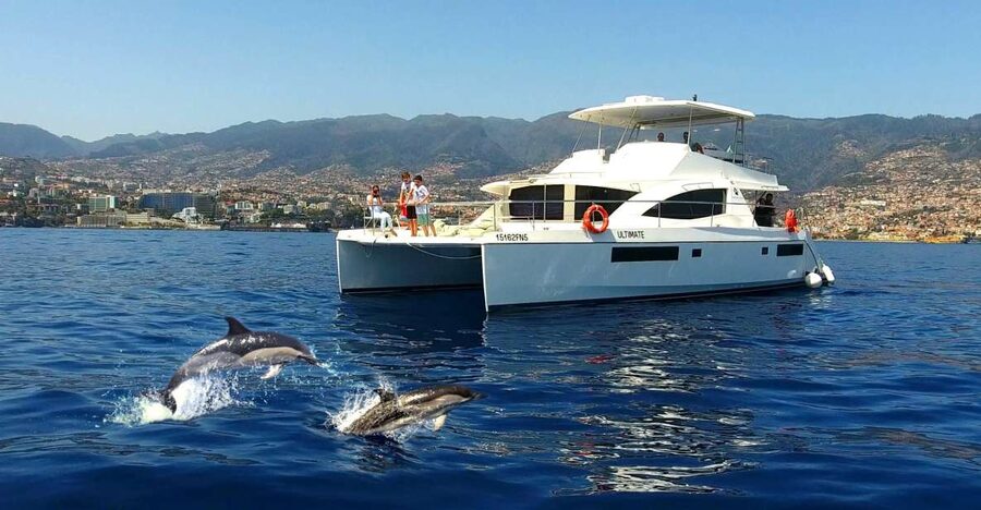 All Inclusive Whale and Dolphin Watching Luxury Tour - Why the limited passenger count matters
