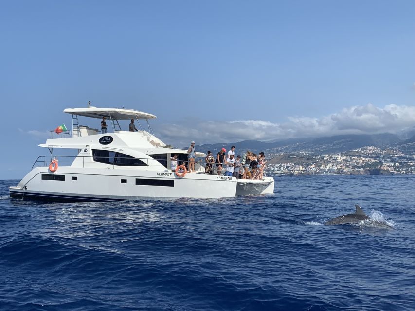 All Inclusive Whale and Dolphin Watching Luxury Tour - Is $93 a fair price?