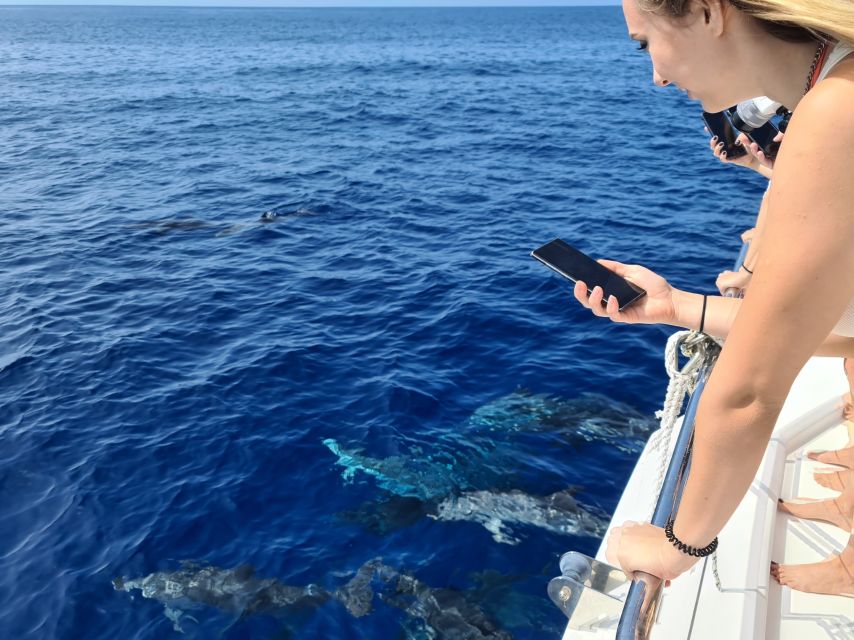 All Inclusive Whale and Dolphin Watching Luxury Tour - Who should book this catamaran?