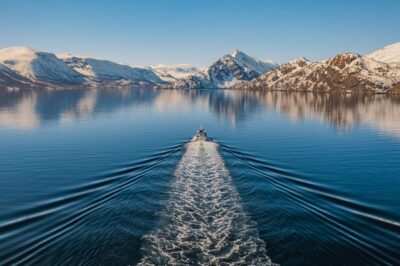Altafjord Whale Watching in a Heated Boat