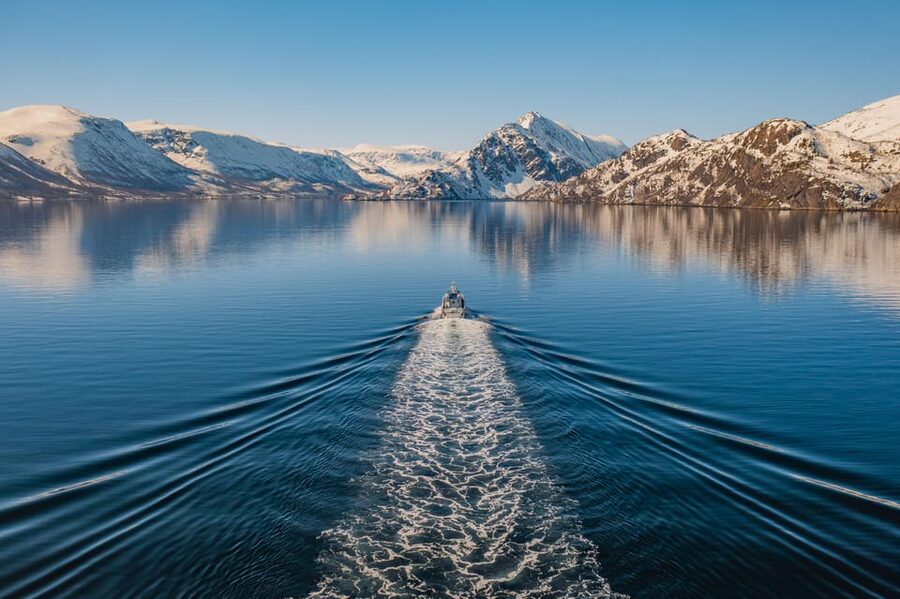 Alta: Altafjord Whale Watching in a Heated Boat - Four hours among orcas, humpbacks, and winter mountains