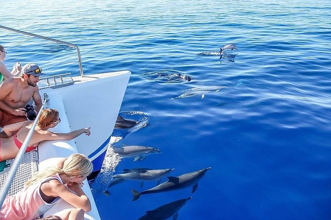 Among Whales Dolphins and Volcanoes Full Day Tour With Lunch - A buffet lunch between sea and volcano