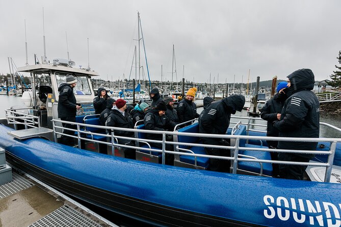 Anacortes Whale Watching Adventure Tour - Zodiac Boat - Why this Zodiac trip feels different