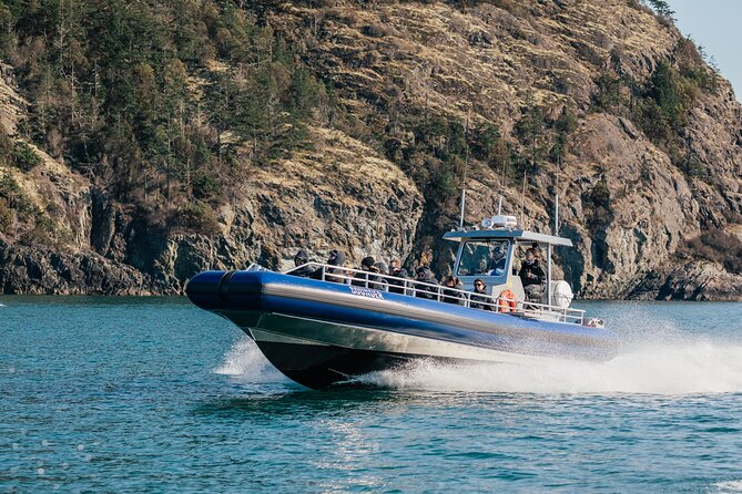 Anacortes Whale Watching Adventure Tour - Zodiac Boat - Price and what you receive for $149