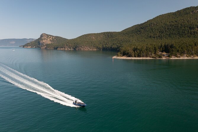 Anacortes Whale Watching Adventure Tour - Zodiac Boat - Who should choose this tour