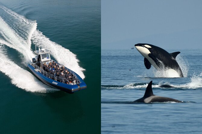 Anacortes Whale Watching Adventure Tour - Zodiac Boat - Check-in at Skyline Way and getting ready