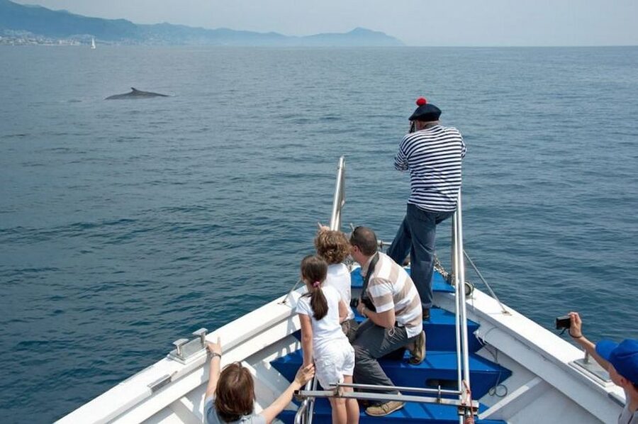 Aquarium of Genoa Ticket and Whale Watching Cruise - Boarding beside the Aquarium for the Pelagos Sanctuary